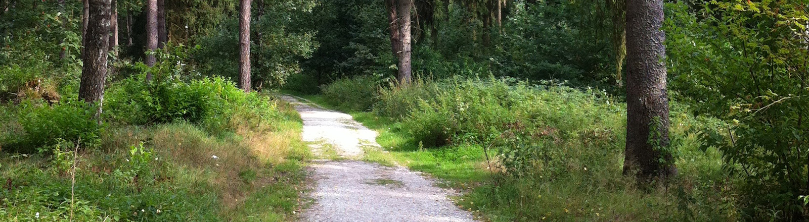 Segway fahren im Teutoburger Wald Bielefeld mieten